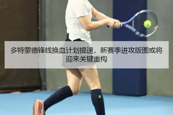 多特蒙德锋线换血计划提速，新赛季进攻版图或将迎来关键重构（Sina Sports）
